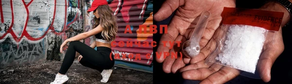 ГАЛЛЮЦИНОГЕННЫЕ ГРИБЫ Богданович