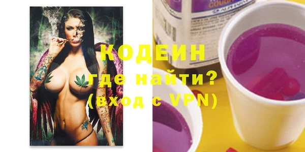 ГАЛЛЮЦИНОГЕННЫЕ ГРИБЫ Богданович