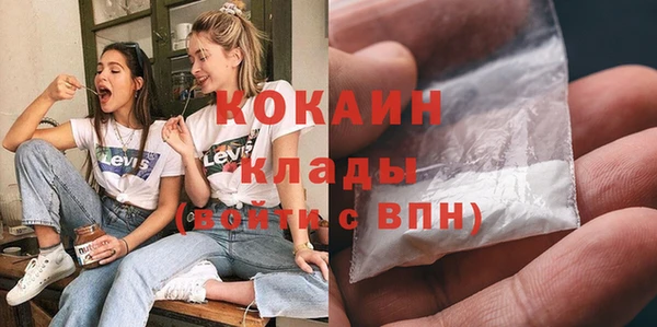 индика Покров
