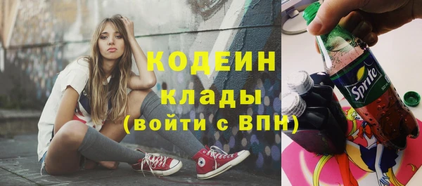 дживик Богородск